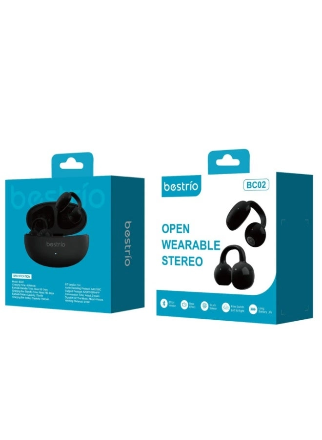 BC02 Wireless Earbud