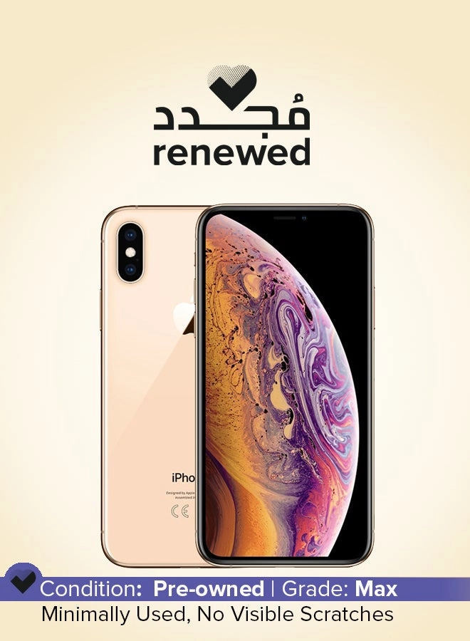 (Renewed) iPhone XS - 256GB