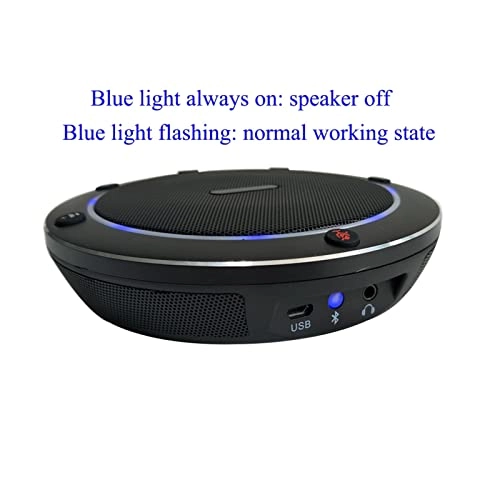 UBIAIEPDW USB+Wireless Microphone