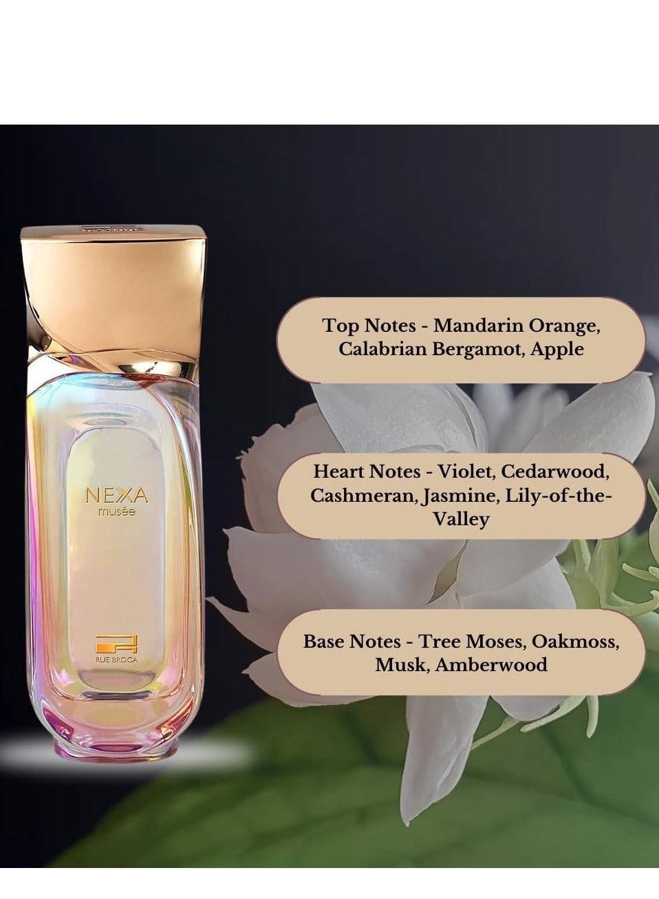 Nexa Musee - Eau de Parfum 100ml