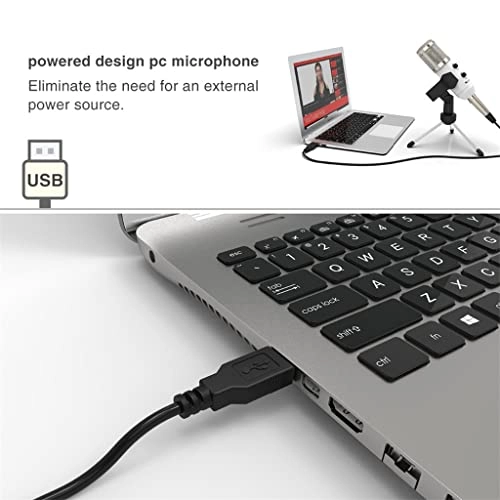 ss1/i47578 USB Microphone