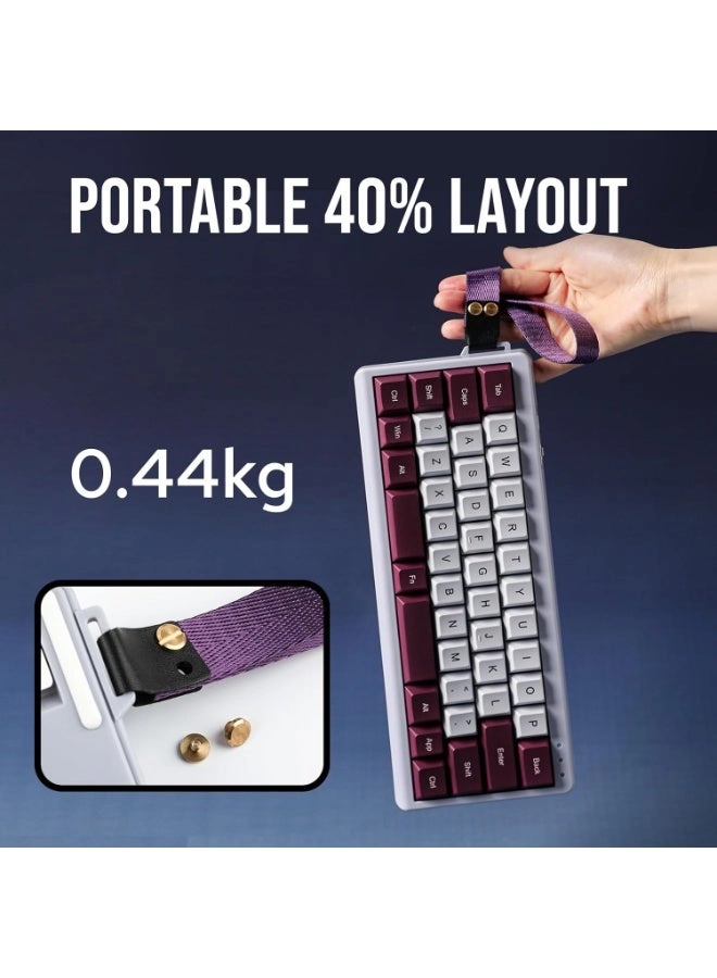 TH40 - 40% Wired/Wireless