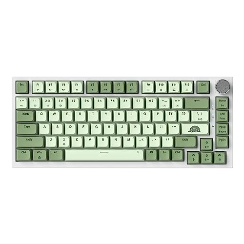 75% Mechanical Keyboard - EN Wired/Wireless