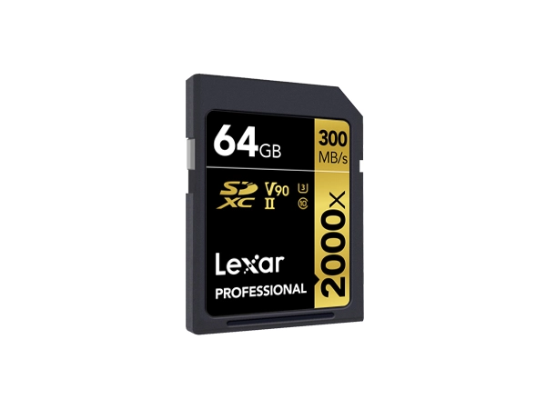 Professional 2000x - 64 GB