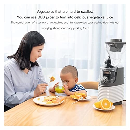 Portable Electric Juicer - Masticating Slow Auger Water-Free