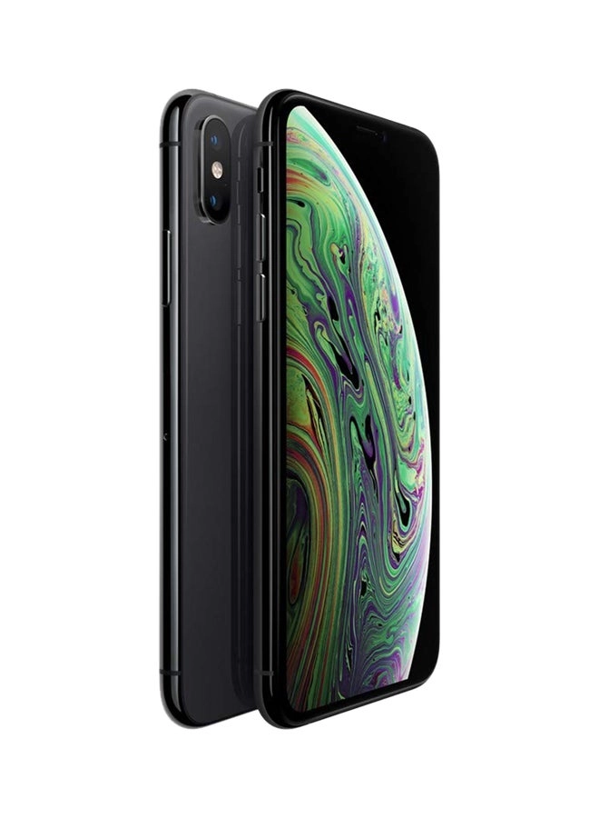 (Renewed) iPhone XS Max - 256GB