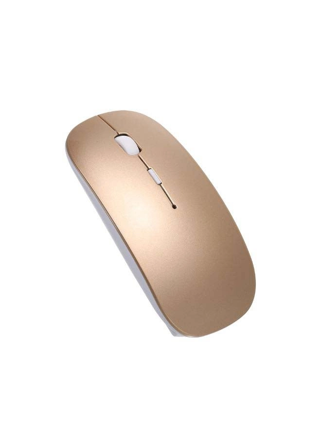 FWC10013B Mouse - Wireless