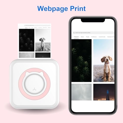 Mini Printer - 203dpi BT/USB