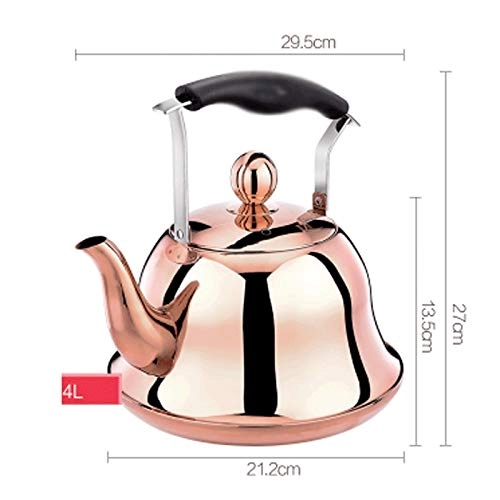 Stovetop Induction Whistling Kettle - 5L