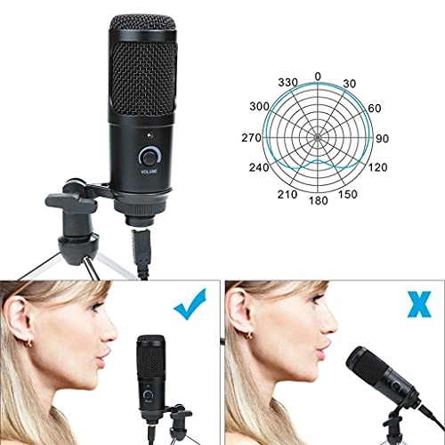 V8 Wired Microphone