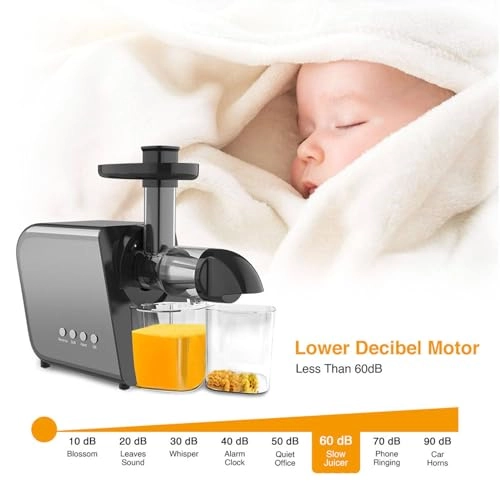 Slow Juicer - 250 watts 400 Milliliters