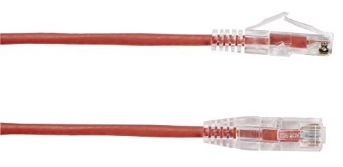 Network Services - 1Ft