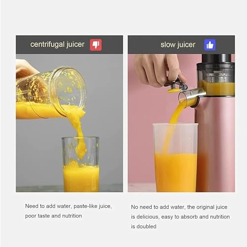 masticating juicer - 120W