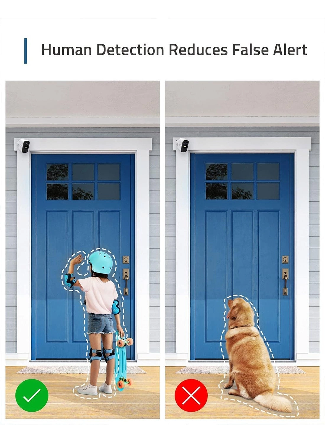 2C Pro - 2 2000 X 2000 pixels