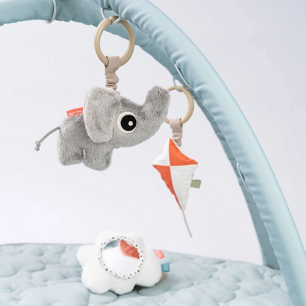 Activity Play Mat - Playground 0 month