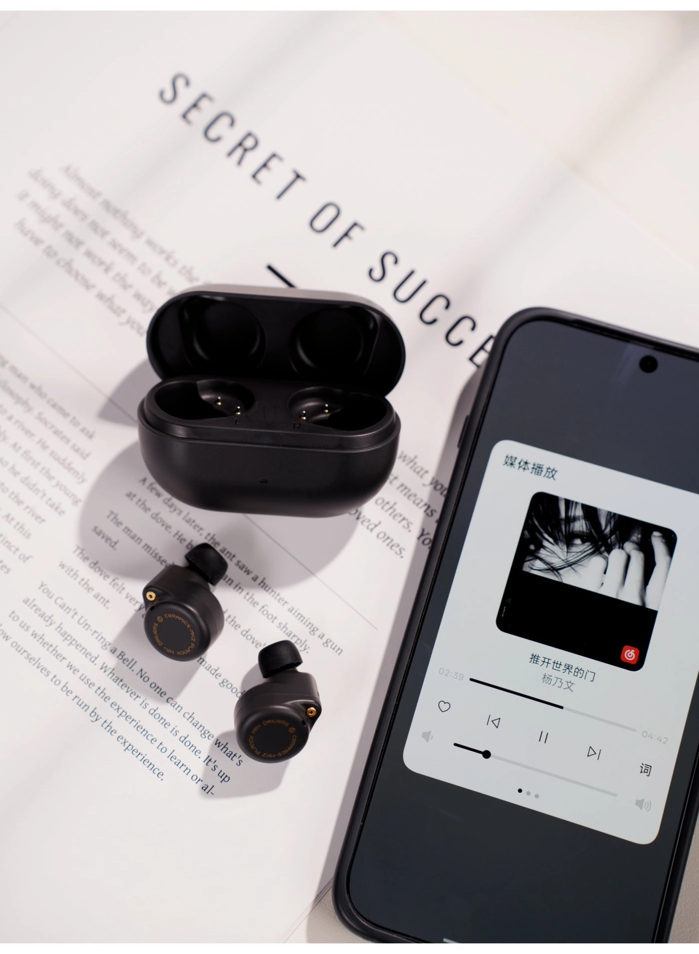 Ceramics Wireless Earbud