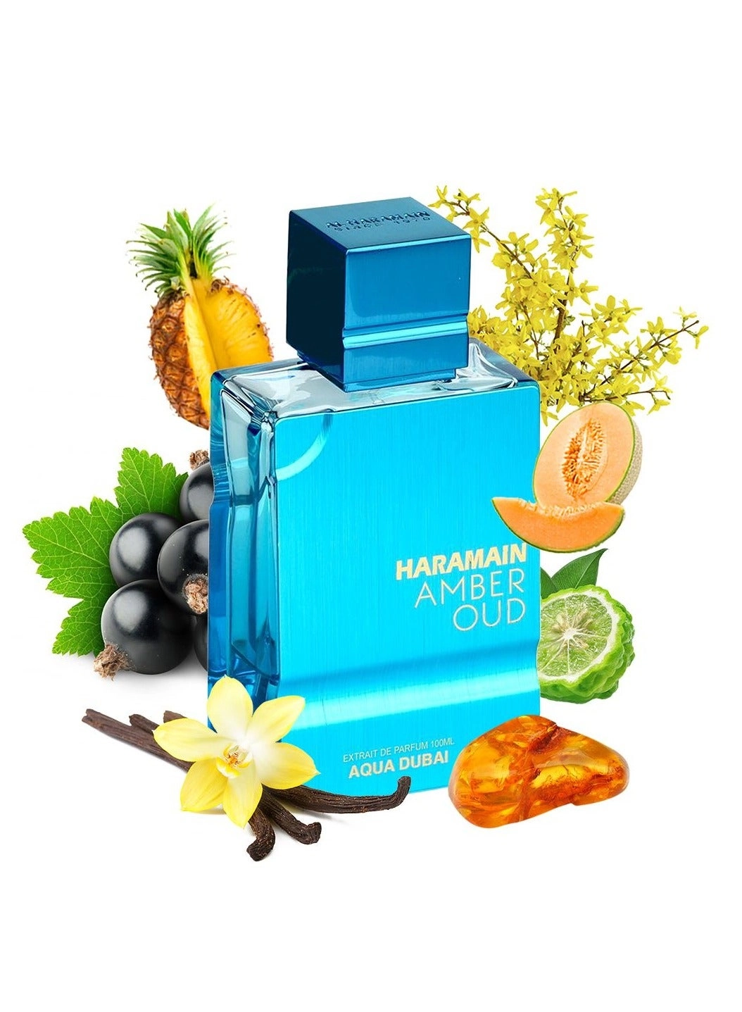 Amber Oud Aqua Dubai Eau de Parfum 100 ml