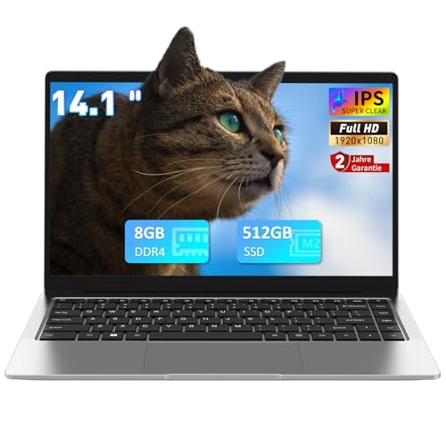 A146G - 14 Inches 512 GB 8 GB Celeron