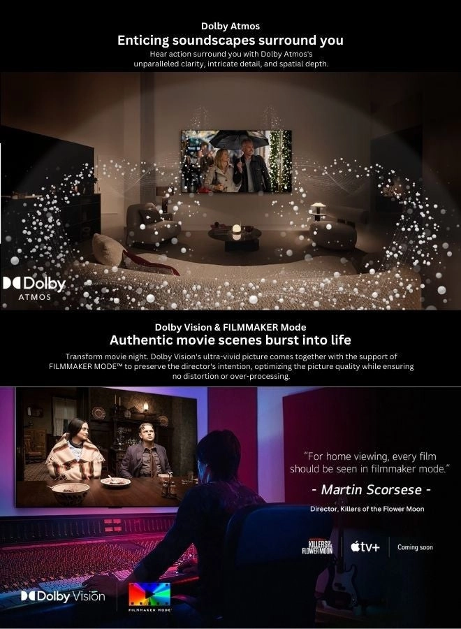 OLED55B46LA + AIR-FRYER