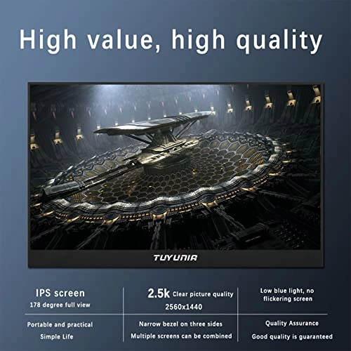 Portable Monitor - 17.3in 2560x1440