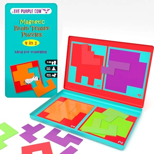 Brain Teaser Puzzles - Magnetic Travel 7.6"