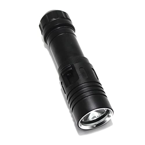 Dive Light