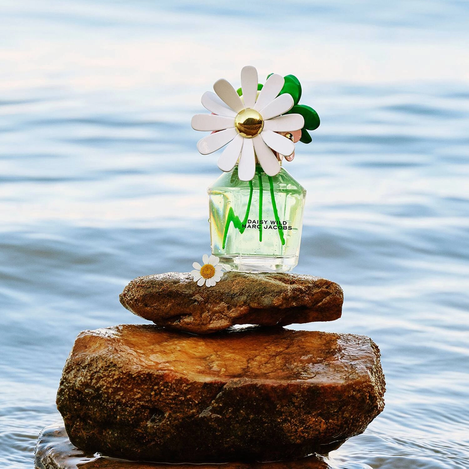 Daisy Wild Eau So Intense Eau de Parfum 100ml