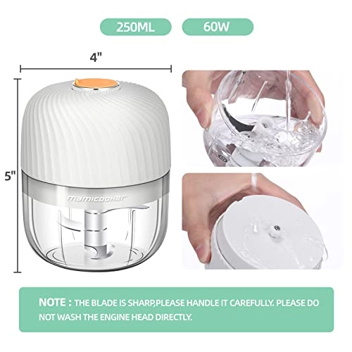 Electric Garlic Chopper - 250ML USB Charging
