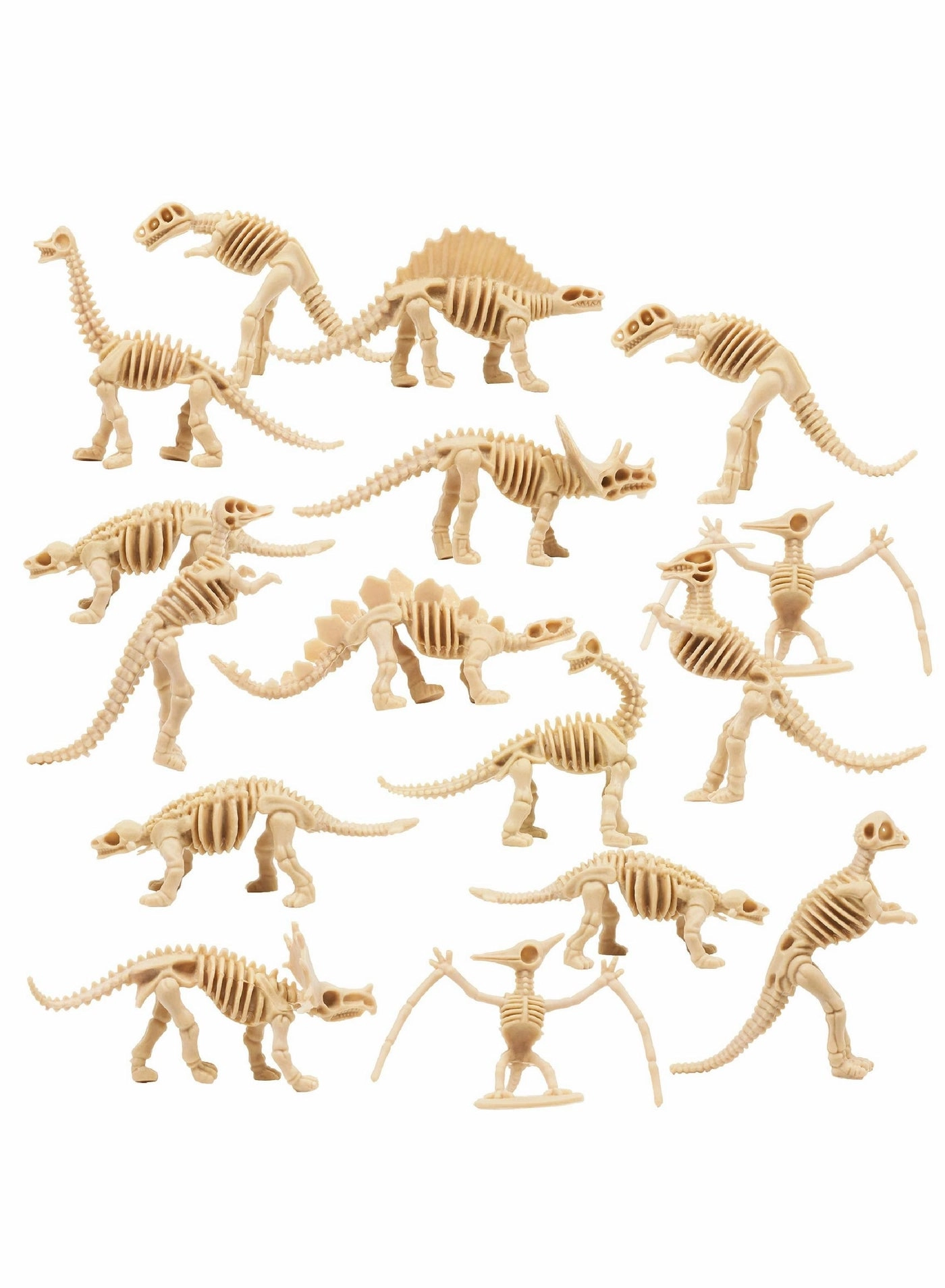 Y&D Dinosaur Fossil Skeletons - 36 pieces Science
