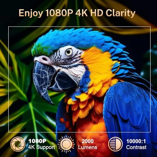 VisualCube 300 260 ANSI lumens