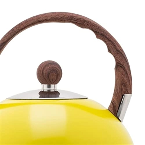 Kettle - Stainless Steel Auburn