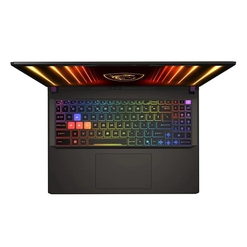 Vector 16 HX - 16'' Ryzen 9-8940HX 64GB DDR5 1 TB SSD