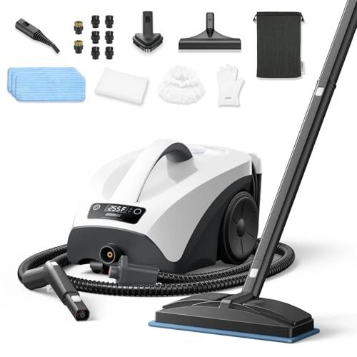 Steam Cleaner - 0.66 Gallons