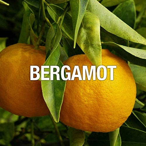 Spark - 2.5 Fluid Ounces