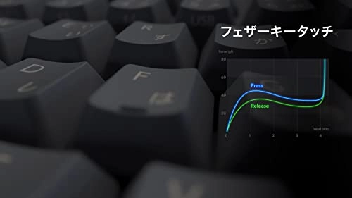 R3SD11 - QWERTY Wired
