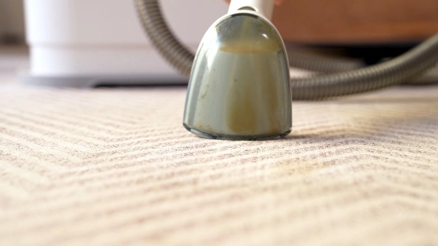 StainZapper Pro - Handheld Spot 450W