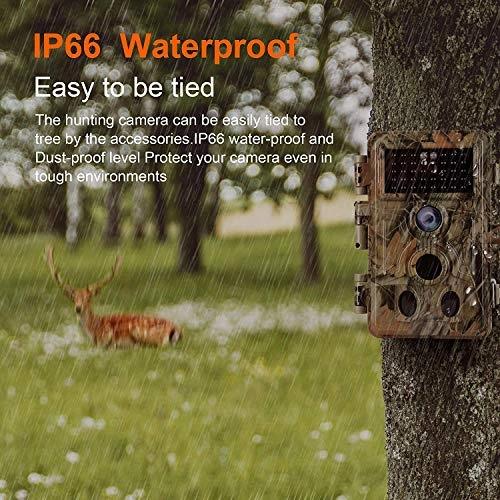 Wildlife Camera - 32MP