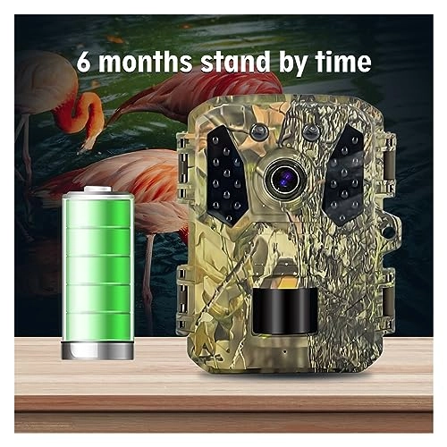 Mini Wild Trail Camera - 32MP