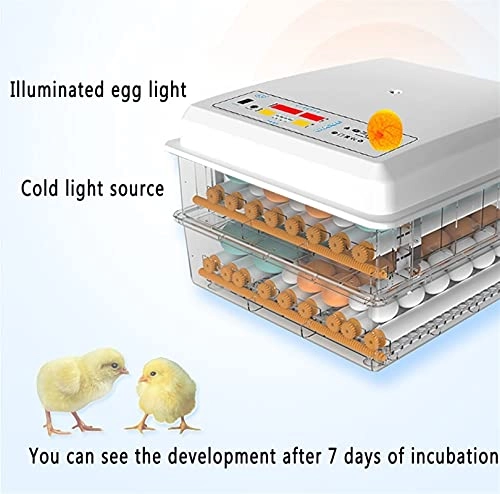 Egg Incubator - 48 Eggs Fully Automatic