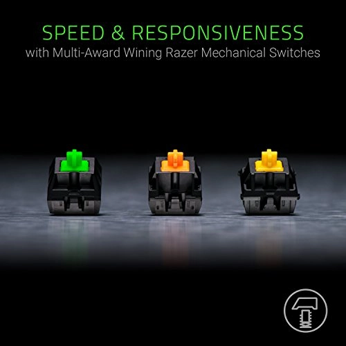 BlackWidow TE Chroma v2 - Wired