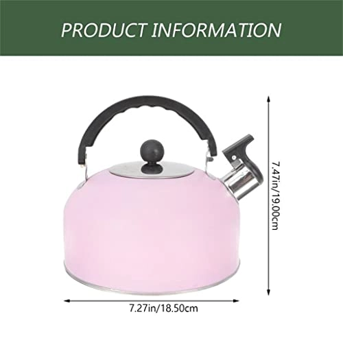 Gooseneck Kettle - Stainless Steel Whistling