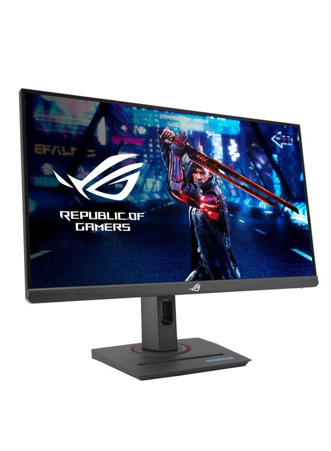 XG259QNS - 24.5 Inches 1920 x 1080 Pixels