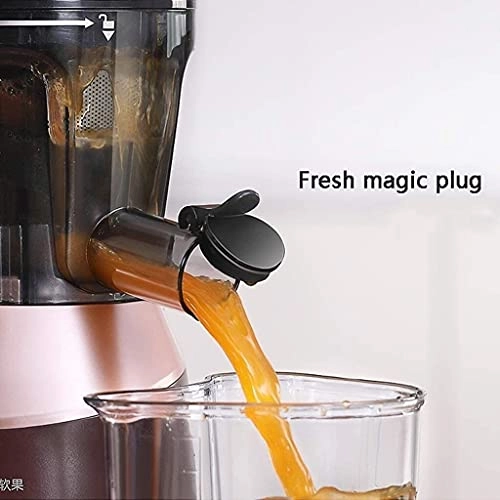 Juicer Extractor - 150W