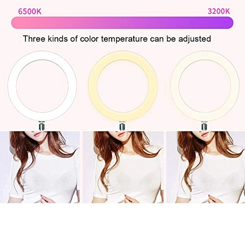 LED Live Streaming Ring Light - 6.5in