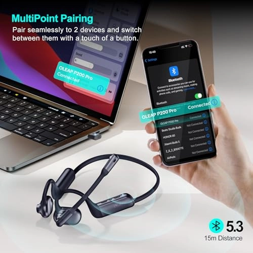 P200b Wireless Headset