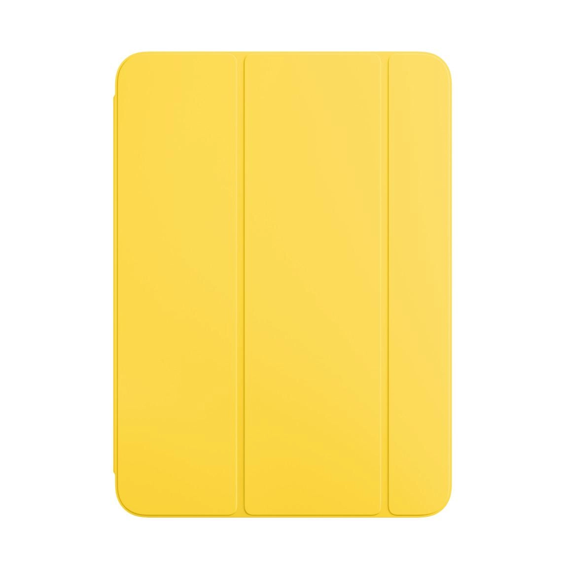 Smart Folio for iPad (A16)