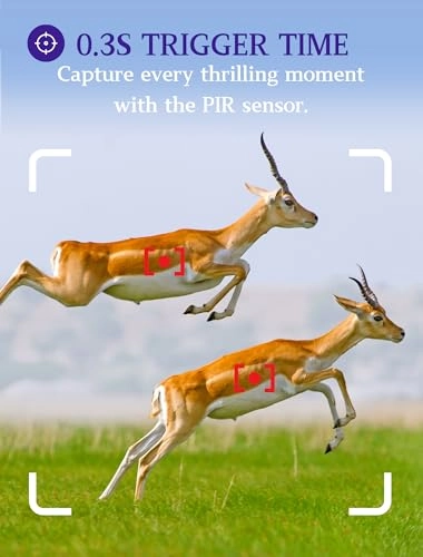 TrailCam-Basic - 16MP