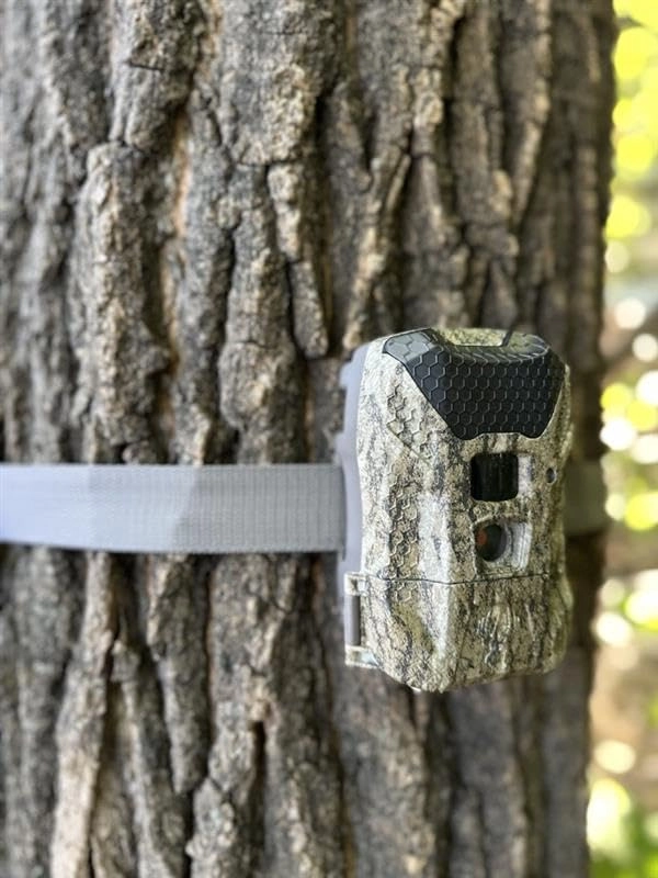 Ridgeline Wraith - 26 MP