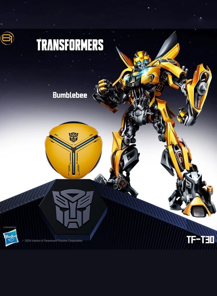 TF-T30 Wireless Earbud