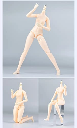 YMY Doll Body - 1/6 Scale 8.6 inches/9.4 inches PVC+POM Female Super White